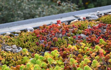 the cost of Kings Lynn green roof installation